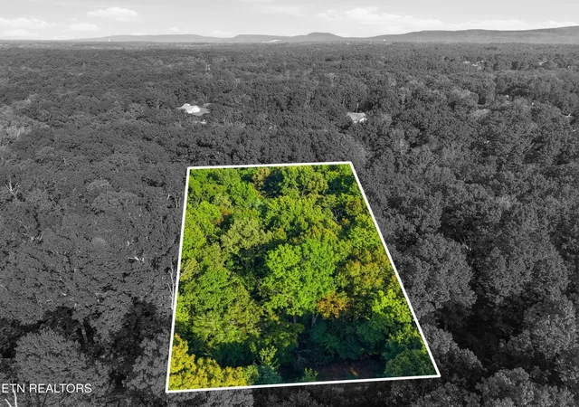 Photo 3 of Land for sale at 615 Catawba Ln, Crossville, TN 38572 | MLS# 3611582 | Listing updated on 2026-10-05