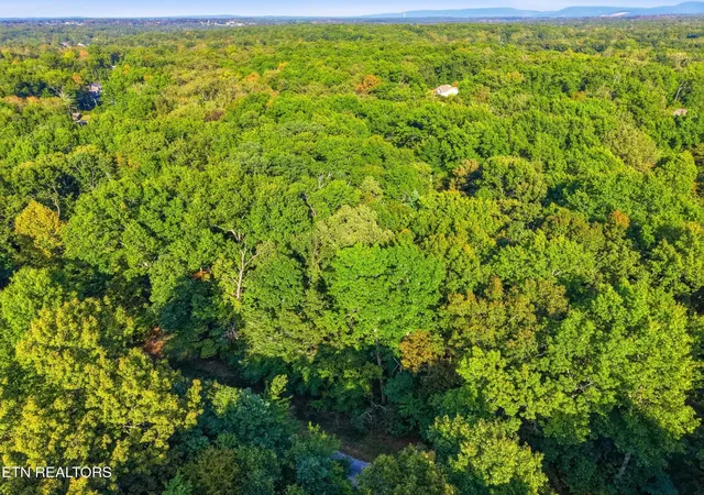 Photo 4 of Land for sale at 615 Catawba Ln, Crossville, TN 38572 | MLS# 3611582 | Listing updated on 2026-10-05