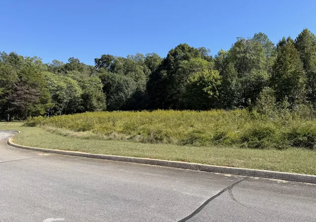 Photo 3 of Land for sale at 114 Meadow Ln, Harriman, TN 37748 | MLS# 3611977 | Listing updated on 2026-10-05