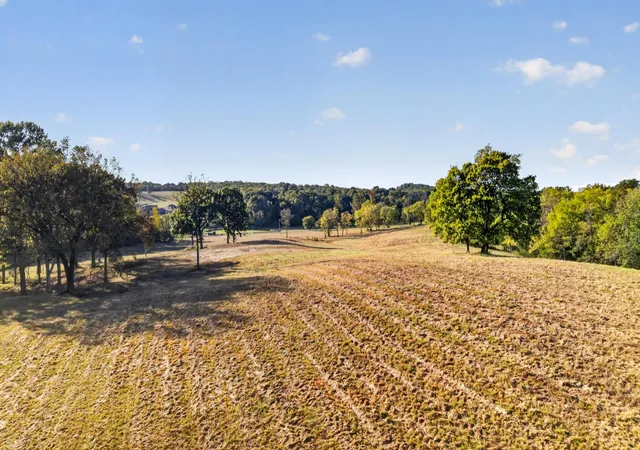 Photo 3 of Land for sale at 0 Palmer Rd, Lebanon, TN 37087 | MLS# 3615344 | Listing updated on 2026-10-08