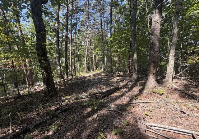 Photo 2 of Land for sale at 0 Mecca Pike, Tellico Plains, TN 37385 | MLS# 3611823 | Listing updated on 2026-10-05