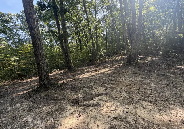 Photo 3 of Land for sale at 0 Mecca Pike, Tellico Plains, TN 37385 | MLS# 3611823 | Listing updated on 2026-10-05