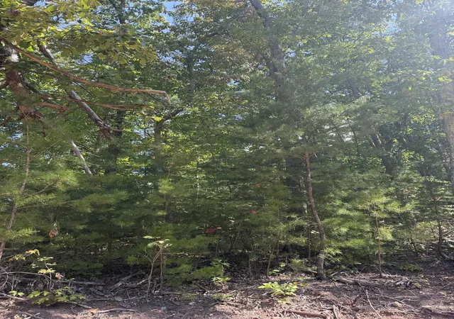 Photo 4 of Land for sale at 0 Mecca Pike, Tellico Plains, TN 37385 | MLS# 3611823 | Listing updated on 2026-10-05