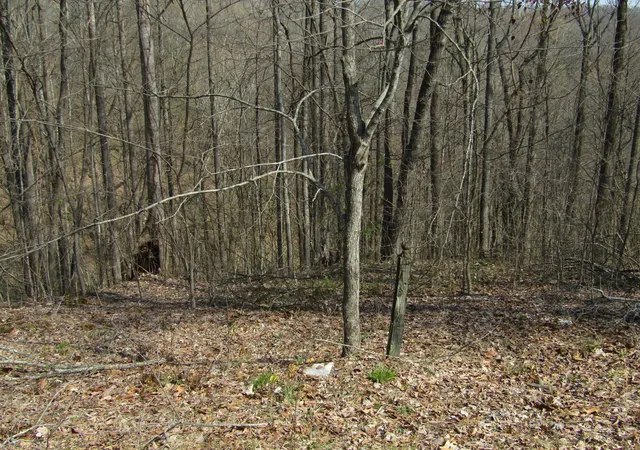 Land for sale at 0 Hunters Landing Ln, Smithville, TN 37166 | MLS# 3611894