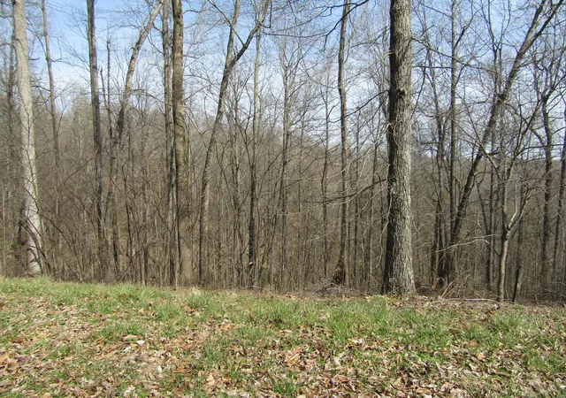 Photo 1 of Land for sale at 0 Hunters Landing Ln, Smithville, TN 37166 | MLS# 3611894 | Listing updated on 2026-10-05