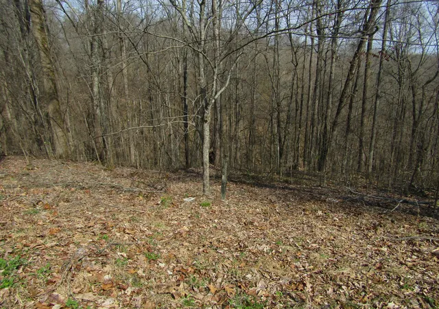 Photo 2 of Land for sale at 0 Hunters Landing Ln, Smithville, TN 37166 | MLS# 3611894 | Listing updated on 2026-10-05