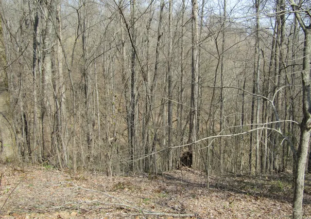 Photo 3 of Land for sale at 0 Hunters Landing Ln, Smithville, TN 37166 | MLS# 3611894 | Listing updated on 2026-10-05