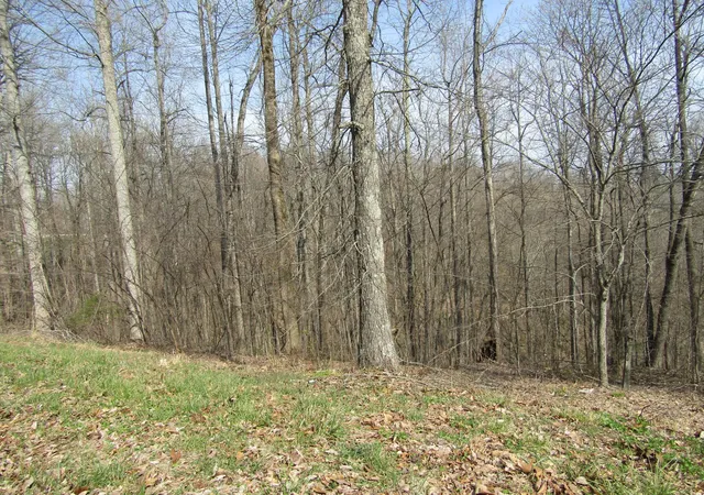 Photo 4 of Land for sale at 0 Hunters Landing Ln, Smithville, TN 37166 | MLS# 3611894 | Listing updated on 2026-10-05