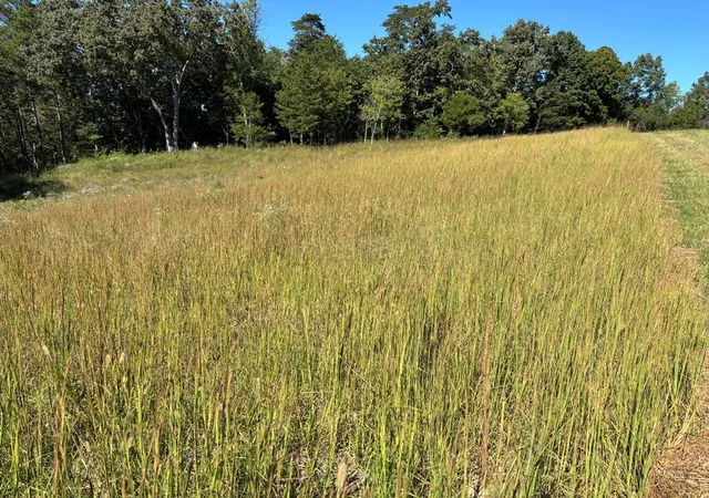 Photo 3 of Land for sale at 0 Cross O Rd, Sevierville, TN 37876 | MLS# 3611994 | Listing updated on 2026-10-05
