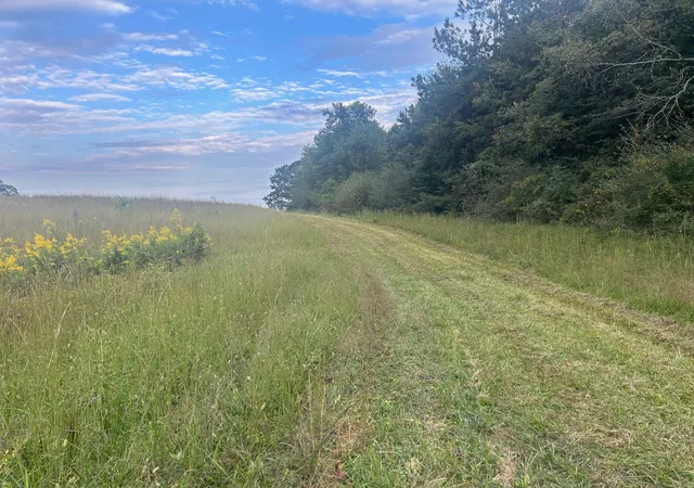Photo 4 of Land for sale at 553563 Highway 30 W, Athens, TN 37303 | MLS# 3611953 | Listing updated on 2026-10-05