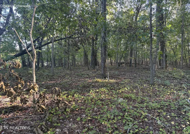 Photo 3 of Land for sale at 134 County Rd 212, Athens, TN 37303 | MLS# 3611929 | Listing updated on 2026-10-06
