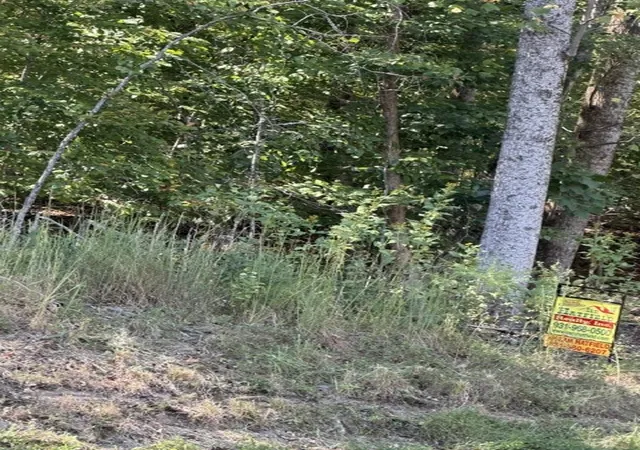 Photo 1 of Land for sale at 0 Hopkins Ln, Winchester, TN 37398 | MLS# 3612305 | Listing updated on 2026-10-06