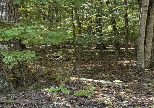Photo 2 of Land for sale at 0 Hopkins Ln, Winchester, TN 37398 | MLS# 3612305 | Listing updated on 2026-10-06