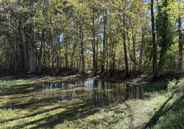 Photo 4 of Land for sale at 2 Lindsley Rd, Lebanon, TN 37090 | MLS# 3612453 | Listing updated on 2026-10-06