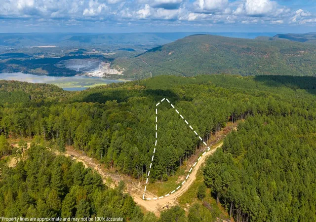 Photo 3 of Land for sale at 0 Top Shelf, Guild, TN 37340 | MLS# 3612025 | Listing updated on 2026-10-06