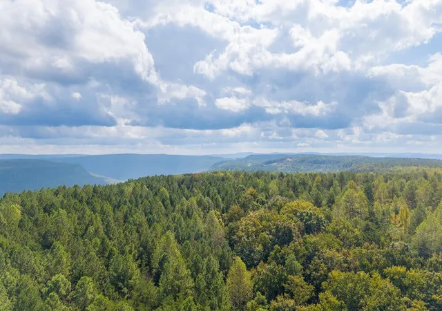 Photo 4 of Land for sale at 0 Top Shelf, Guild, TN 37340 | MLS# 3612025 | Listing updated on 2026-10-06