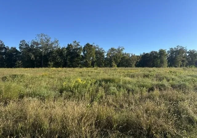 Photo 2 of Land for sale at 0 Cravens Rd, Savannah, TN 38372 | MLS# 3612036 | Listing updated on 2026-10-06
