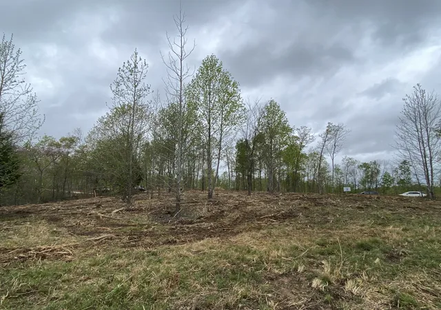 Photo 3 of Land for sale at 79 Overlook Trl, Stewart, TN 37175 | MLS# 3612052 | Listing updated on 2026-10-06