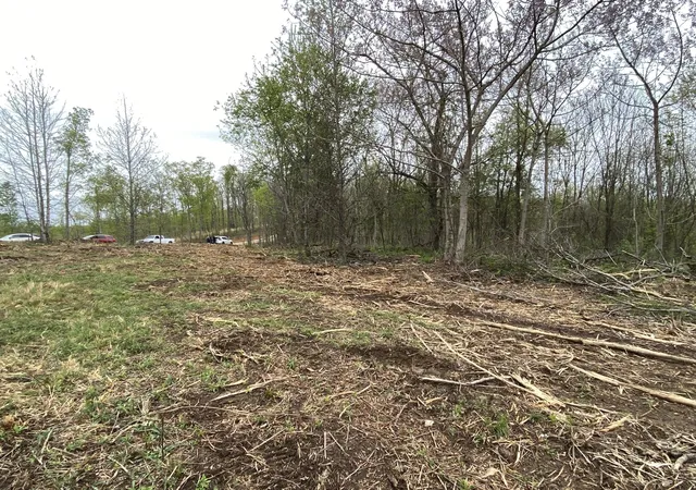 Photo 3 of Land for sale at 79 Overlook Trl, Stewart, TN 37175 | MLS# 3612052 | Listing updated on 2026-10-06