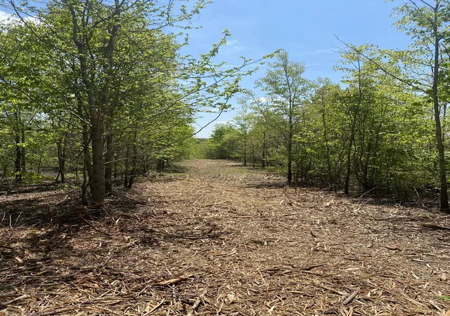 Photo 4 of Land for sale at 79 Overlook Trl, Stewart, TN 37175 | MLS# 3612052 | Listing updated on 2026-10-06