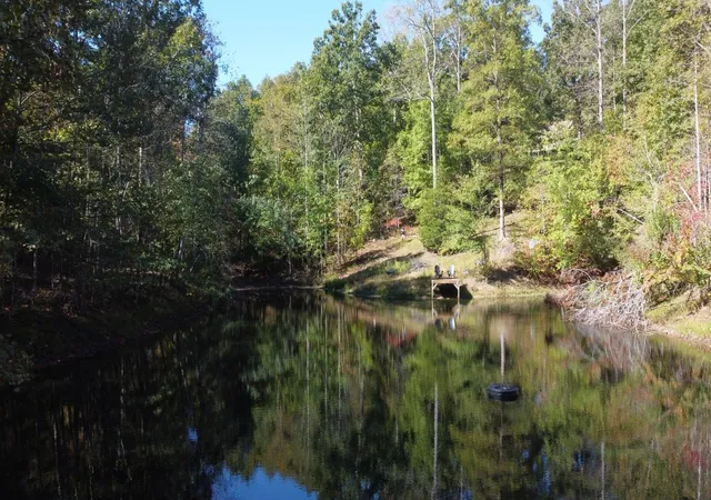 Photo 4 of Land for sale at 3828 S Smithfield Rd, Centerville, TN 37033 | MLS# 3612135 | Listing updated on 2026-10-06