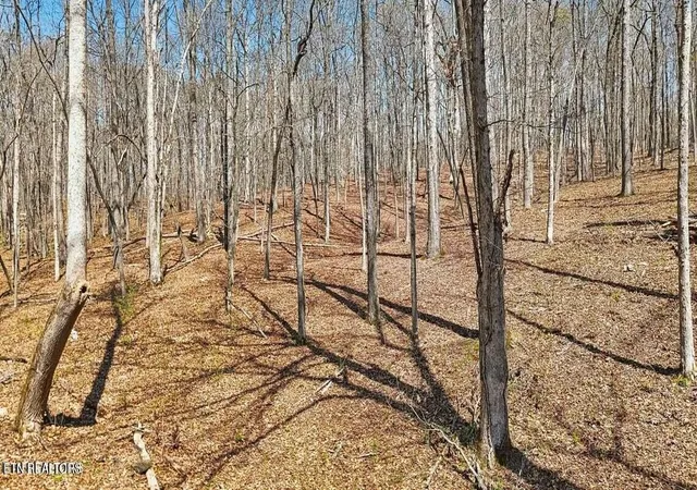 Photo 3 of House for sale at 1300 Old Sugar Limb Rd, Loudon, TN 37774 | MLS# 3612123 | Listing updated on 2026-10-06