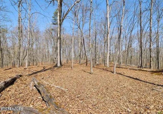 Photo 4 of House for sale at 1300 Old Sugar Limb Rd, Loudon, TN 37774 | MLS# 3612123 | Listing updated on 2026-10-06