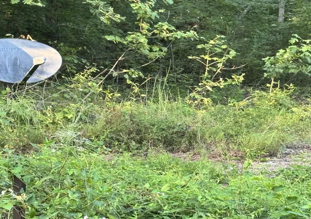 Photo 2 of Land for sale at 0 Glade Trl, Beechgrove, TN 37018 | MLS# 3612226 | Listing updated on 2026-10-06