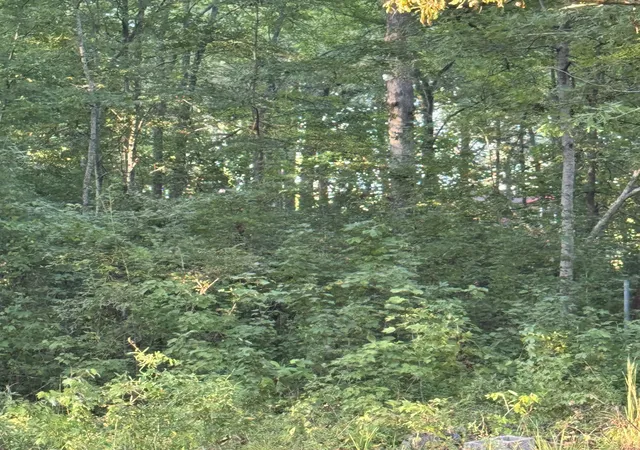 Photo 3 of Land for sale at 0 Glade Trl, Beechgrove, TN 37018 | MLS# 3612226 | Listing updated on 2026-10-06