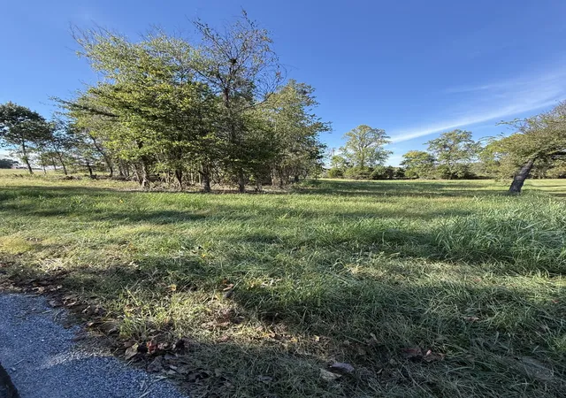 Photo 2 of Single family home for sale at 0 Bessie Clark Rd, Erin, TN 37061 | MLS# 3612983 | Listing updated on 2026-10-07