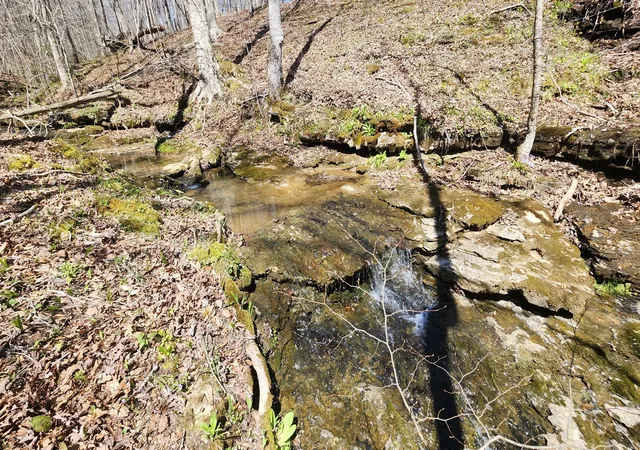 Land for sale at 0 Allen Bnd Rd, Smithville, TN 37166 | MLS# 3612202