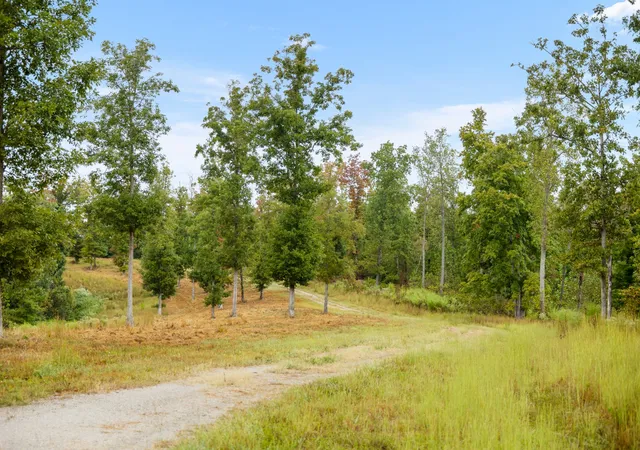 Photo 3 of House for sale at 0 Highway 70, Pegram, TN 37143 | MLS# 3614475 | Listing updated on 2026-10-08