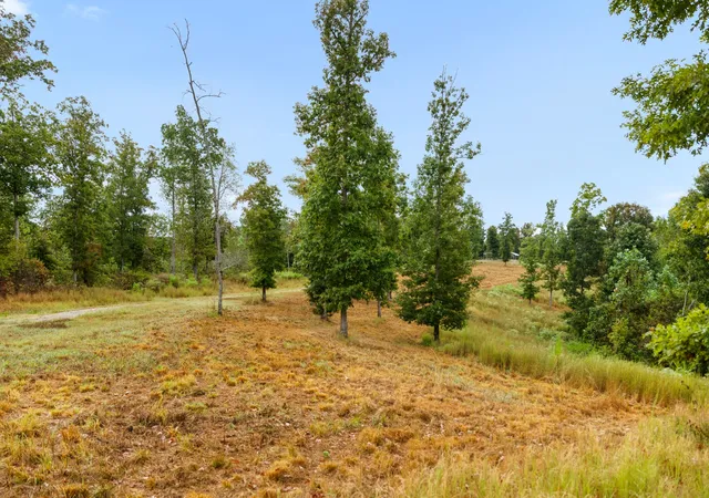 Photo 4 of House for sale at 0 Highway 70, Pegram, TN 37143 | MLS# 3614475 | Listing updated on 2026-10-08