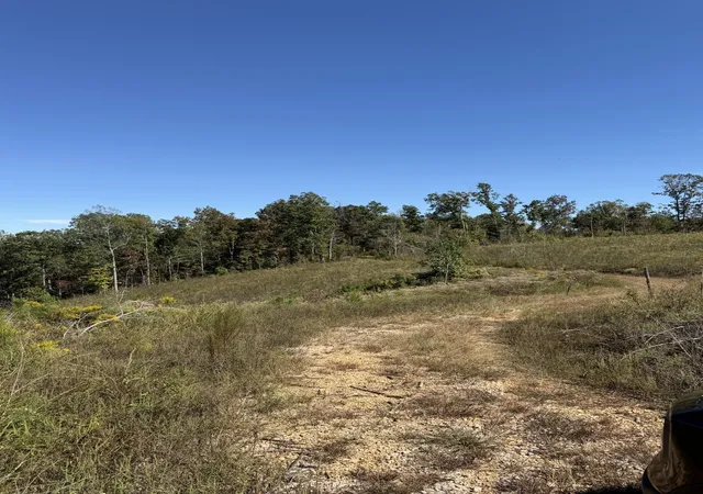 Photo 1 of Land for sale at 1263 Cedar Grv, Iron City, TN 38463 | MLS# 3612228 | Listing updated on 2026-10-06