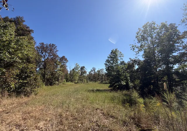 Photo 2 of Land for sale at 1263 Cedar Grv, Iron City, TN 38463 | MLS# 3612228 | Listing updated on 2026-10-06