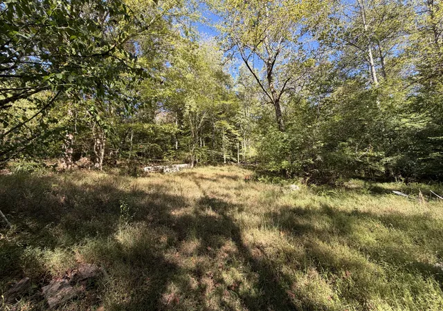 Photo 3 of Land for sale at 1263 Cedar Grv, Iron City, TN 38463 | MLS# 3612228 | Listing updated on 2026-10-06