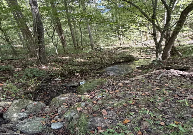 Photo 4 of Land for sale at 1263 Cedar Grv, Iron City, TN 38463 | MLS# 3612228 | Listing updated on 2026-10-06