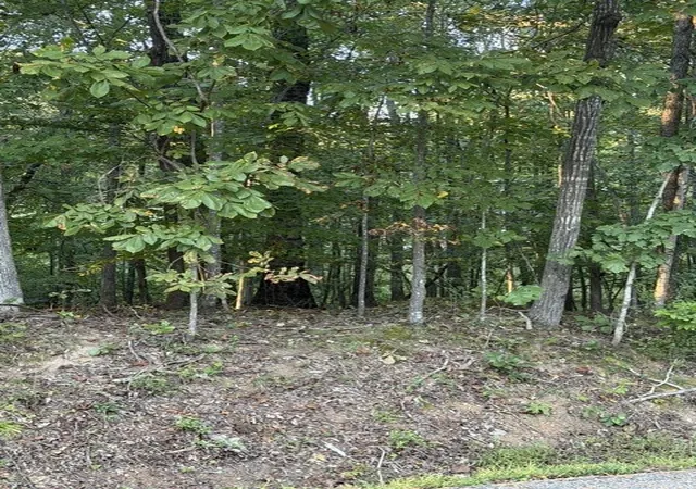 Photo 1 of Land for sale at 0 Woodland Way, Estill Springs, TN 37330 | MLS# 3612327 | Listing updated on 2026-10-06