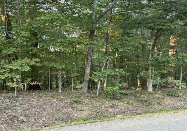 Photo 2 of Land for sale at 0 Woodland Way, Estill Springs, TN 37330 | MLS# 3612327 | Listing updated on 2026-10-06