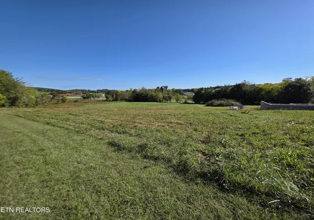 Photo 4 of Land for sale at 0 Savannah Ln, Madisonville, TN 37354 | MLS# 3612325 | Listing updated on 2026-10-06