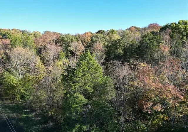 Land for sale at 2474 Garner Rd, Mount Pleasant, TN 38474 | MLS# 3627850