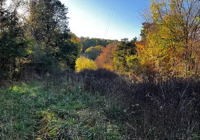 Photo 1 of Land for sale at 2474 Garner Rd, Mount Pleasant, TN 38474 | MLS# 3627850 | Listing updated on 2026-10-28
