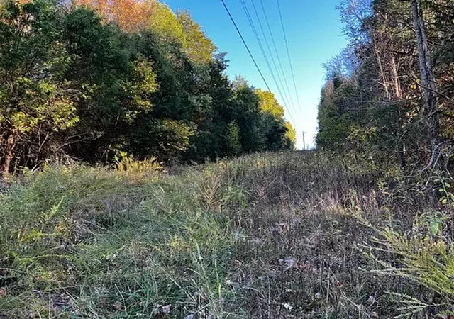 Photo 3 of Land for sale at 2474 Garner Rd, Mount Pleasant, TN 38474 | MLS# 3627850 | Listing updated on 2026-10-28