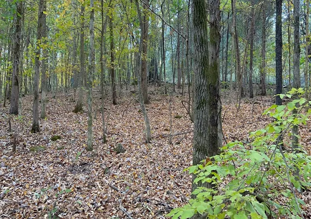 Photo 4 of Land for sale at 2474 Garner Rd, Mount Pleasant, TN 38474 | MLS# 3627850 | Listing updated on 2026-10-28
