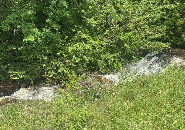 Photo 3 of Land for sale at 0 Vandy Cir, Sparta, TN 38583 | MLS# 3612392 | Listing updated on 2026-10-06