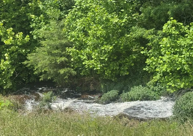 Photo 3 of Land for sale at 0 Vandy Cir, Sparta, TN 38583 | MLS# 3612392 | Listing updated on 2026-10-06