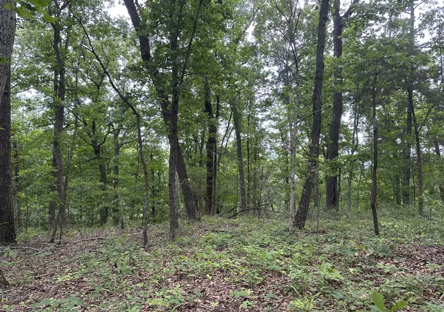 Photo 3 of Land for sale at 220 Selah Pvt Path, Gallatin, TN 37066 | MLS# 3612497 | Listing updated on 2026-10-06
