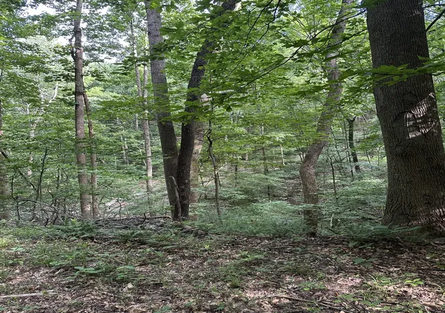 Photo 3 of Land for sale at 220 Selah Pvt Path, Gallatin, TN 37066 | MLS# 3612497 | Listing updated on 2026-10-06