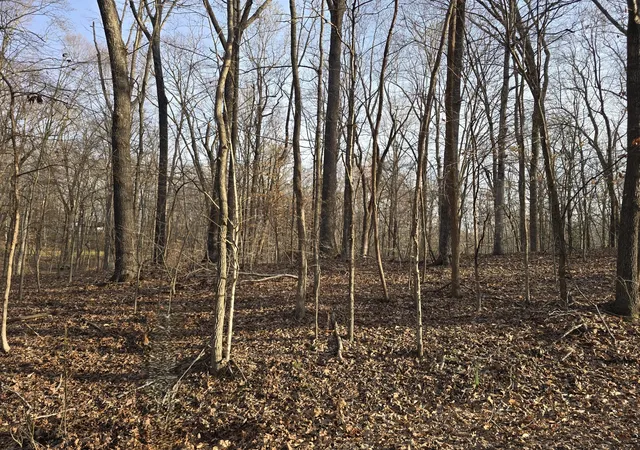 Photo 3 of Land for sale at 33 Rockcastle Shrs, Cadiz, KY 42211 | MLS# 3612447 | Listing updated on 2026-10-06