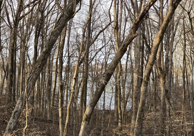 Photo 4 of Land for sale at 33 Rockcastle Shrs, Cadiz, KY 42211 | MLS# 3612447 | Listing updated on 2026-10-06